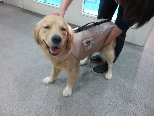 ファイル 7175-1.jpg