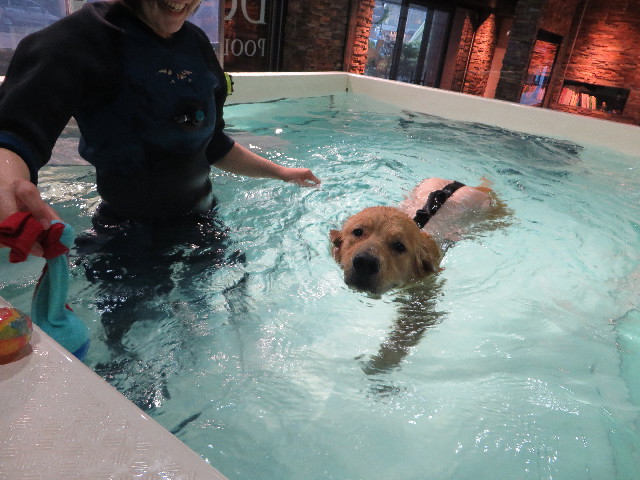 ファイル 7175-3.jpg