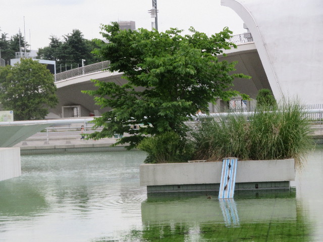 ファイル 7176-2.jpg