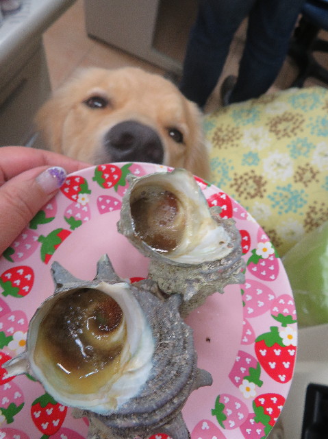 ファイル 7177-3.jpg