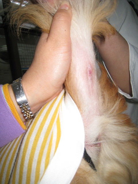 ファイル 718-1.jpg