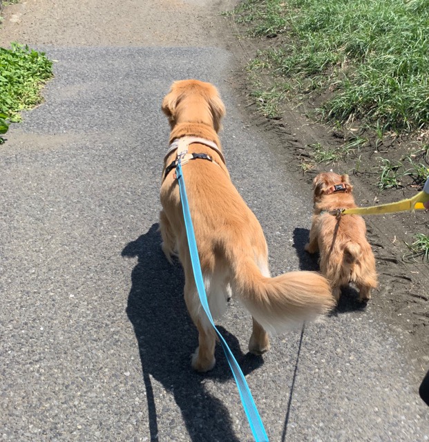 ファイル 7180-2.jpg