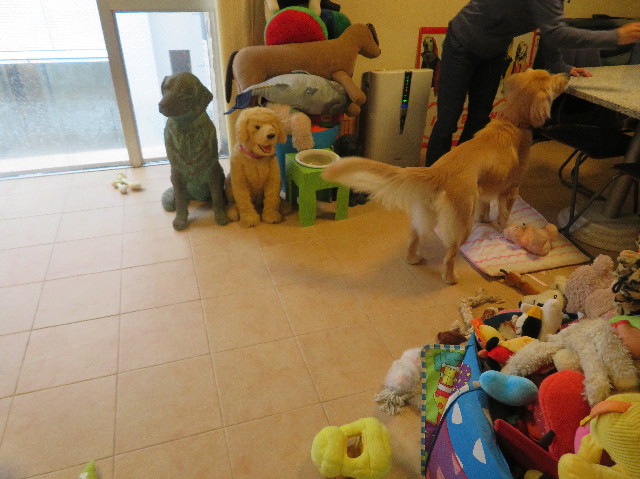 ファイル 7181-2.jpg