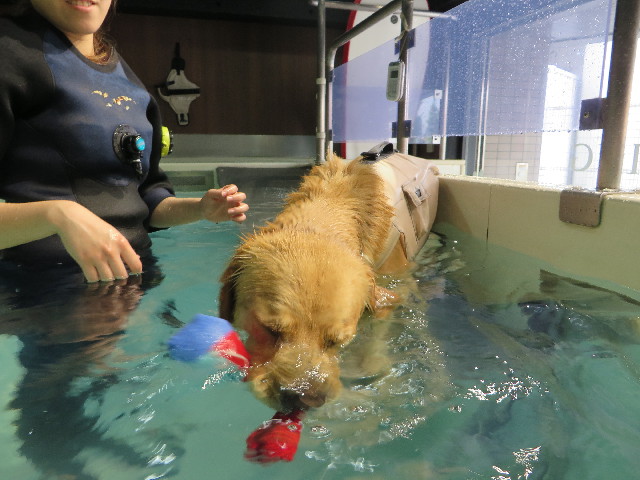 ファイル 7183-2.jpg