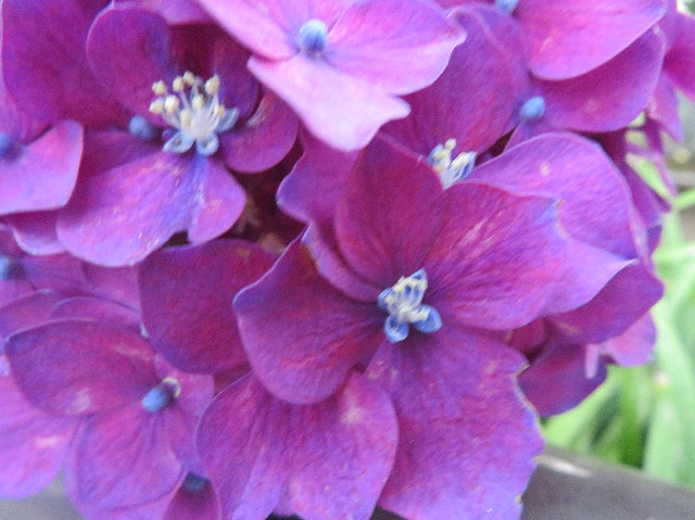 ファイル 7184-5.jpg