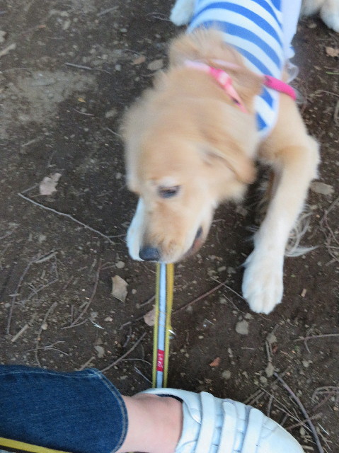 ファイル 7186-2.jpg