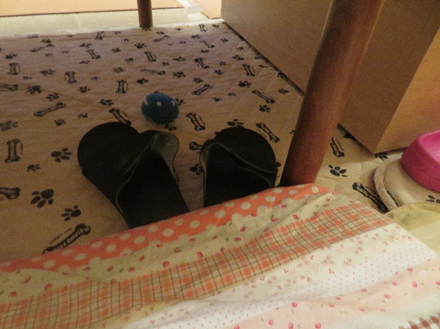 ファイル 7187-2.jpg