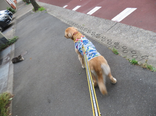 ファイル 7187-5.jpg