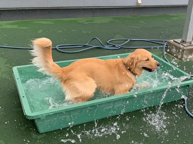 ファイル 7189-2.jpg