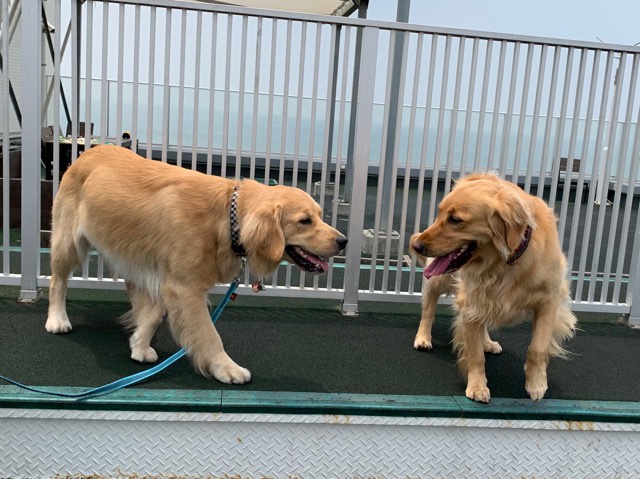 ファイル 7189-5.jpg