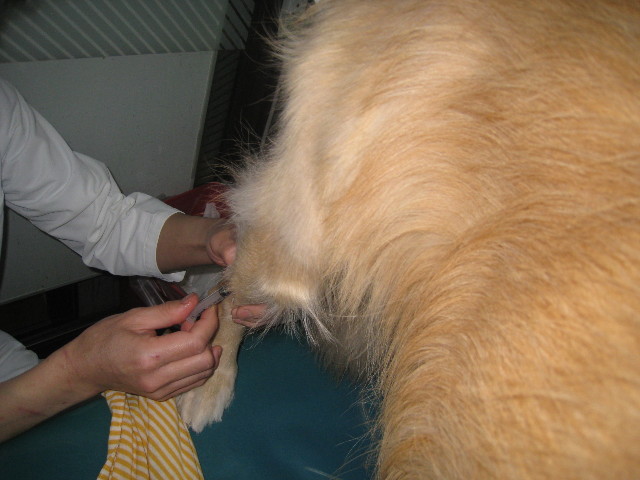 ファイル 719-1.jpg