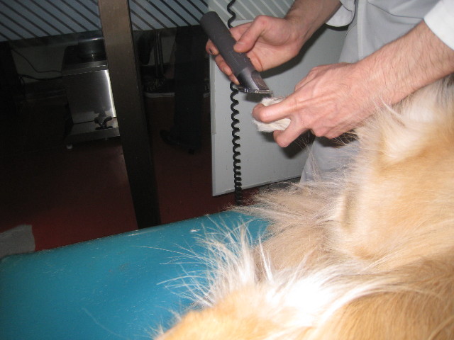 ファイル 719-3.jpg