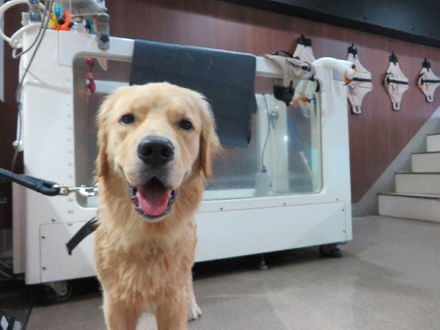 ファイル 7192-1.jpg