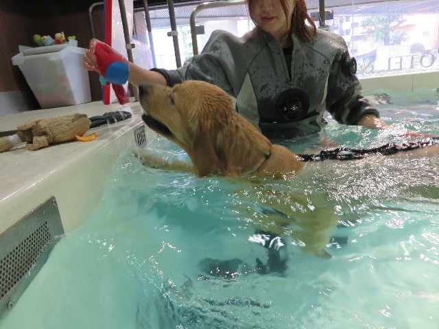 ファイル 7192-2.jpg