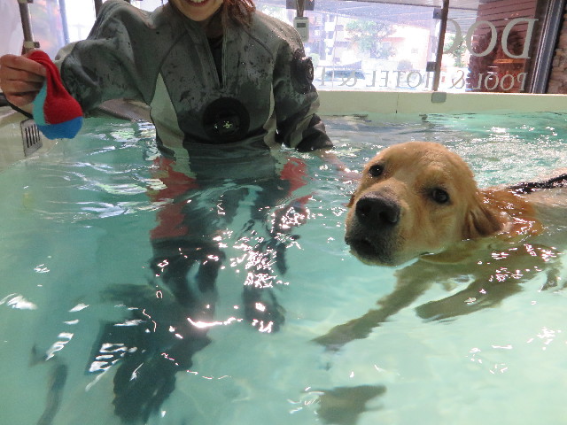 ファイル 7192-3.jpg