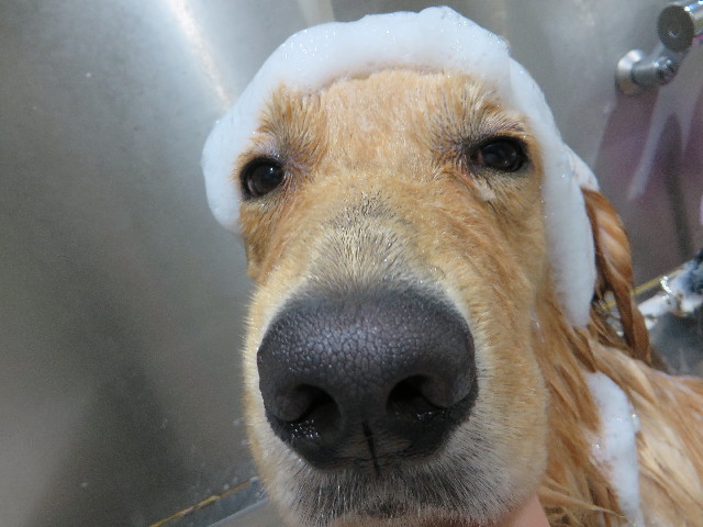 ファイル 7192-4.jpg