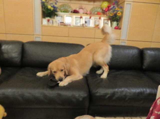 ファイル 7197-4.jpg