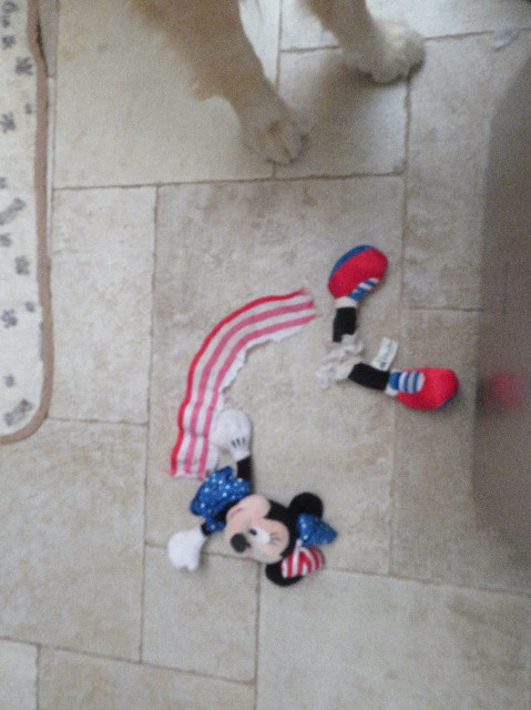 ファイル 7200-3.jpg