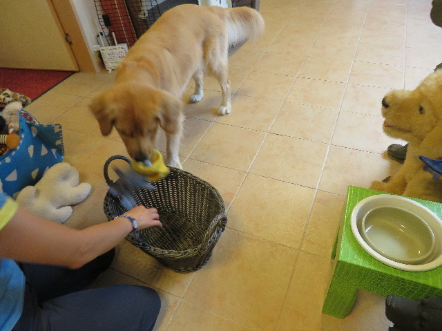 ファイル 7201-4.jpg