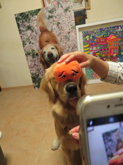 ファイル 7202-2.jpg