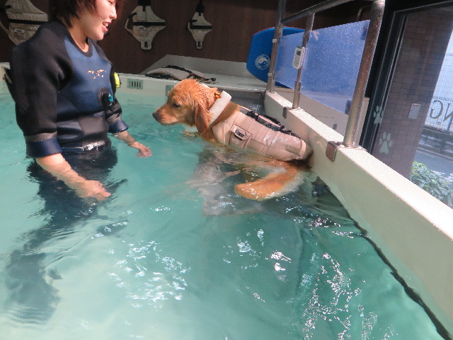 ファイル 7203-4.jpg