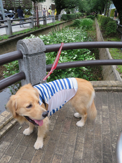 ファイル 7205-1.jpg