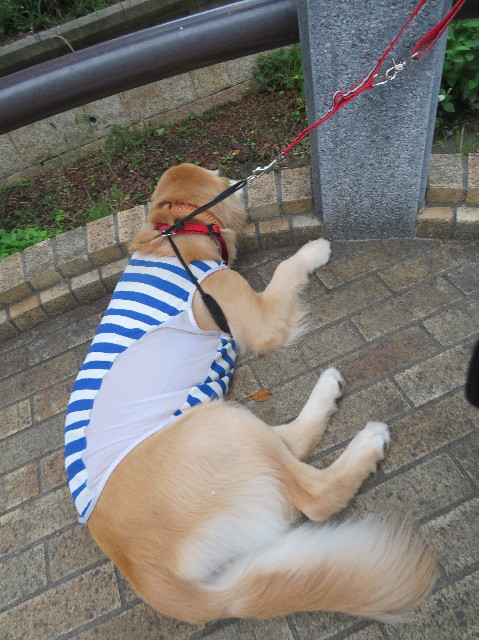 ファイル 7205-2.jpg