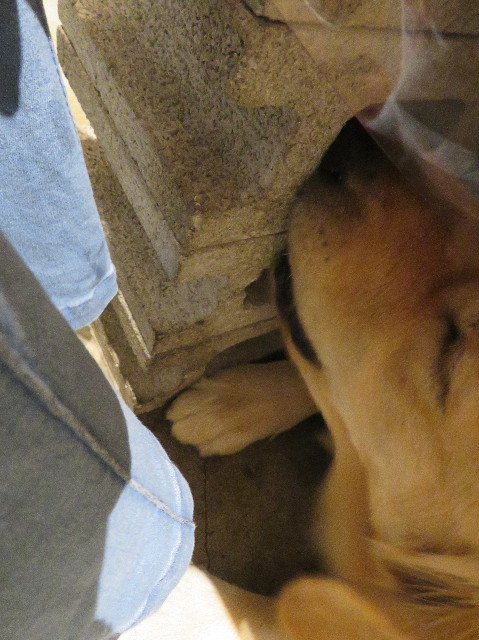 ファイル 7205-4.jpg