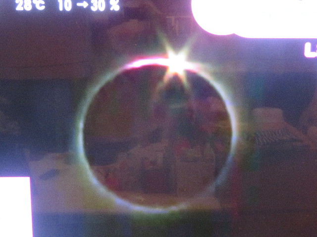 ファイル 7206-1.jpg