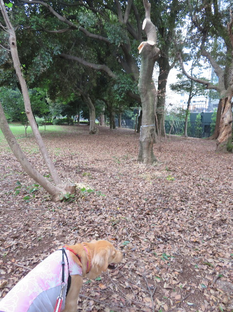 ファイル 7206-4.jpg