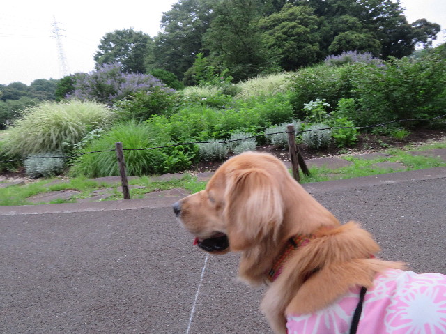 ファイル 7206-5.jpg