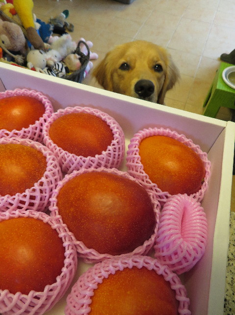 ファイル 7207-1.jpg