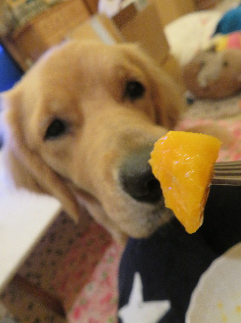 ファイル 7207-4.jpg