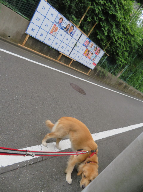 ファイル 7209-2.jpg