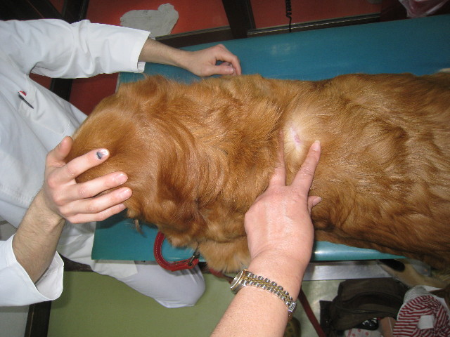 ファイル 721-2.jpg