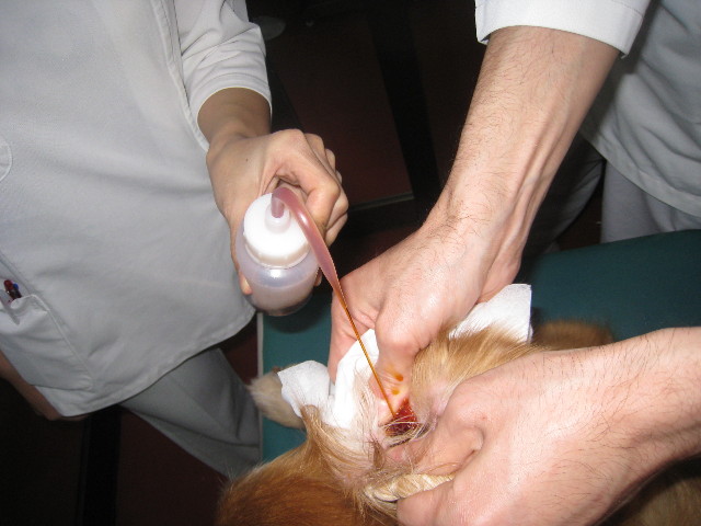 ファイル 721-4.jpg