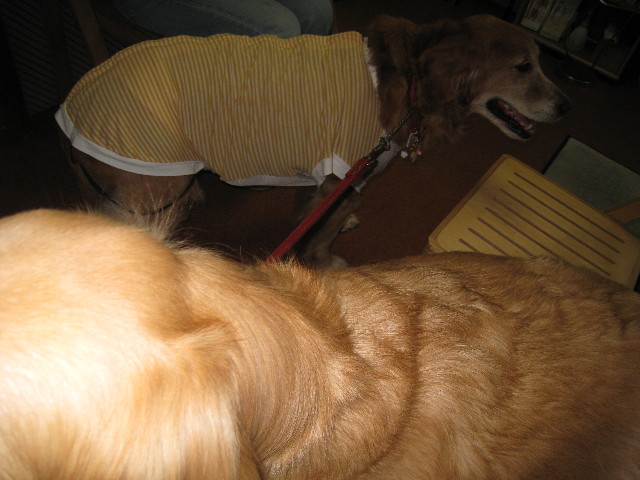 ファイル 721-5.jpg