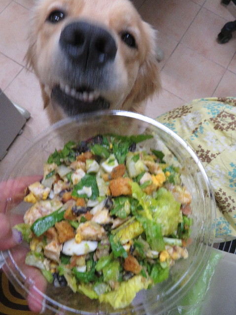 ファイル 7210-4.jpg