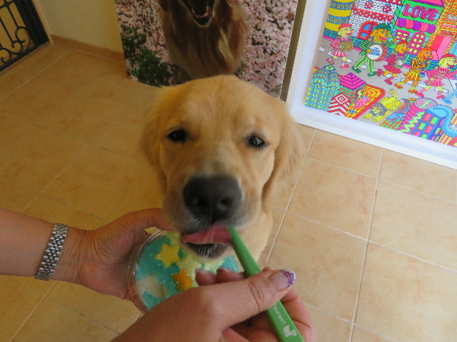 ファイル 7211-3.jpg