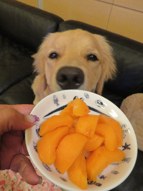 ファイル 7211-4.jpg