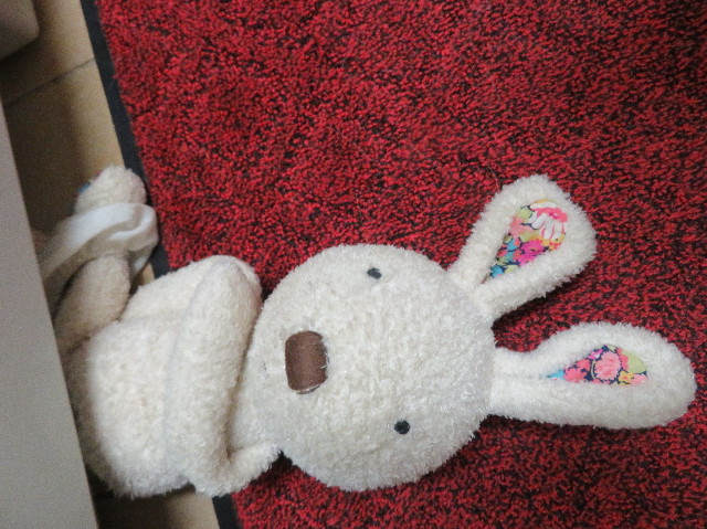 ファイル 7213-3.jpg