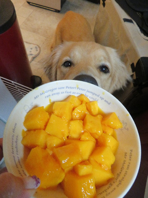 ファイル 7218-4.jpg