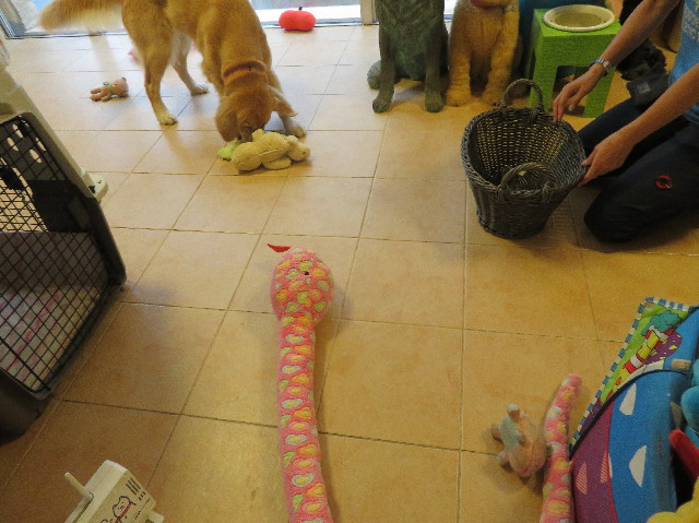 ファイル 7220-2.jpg