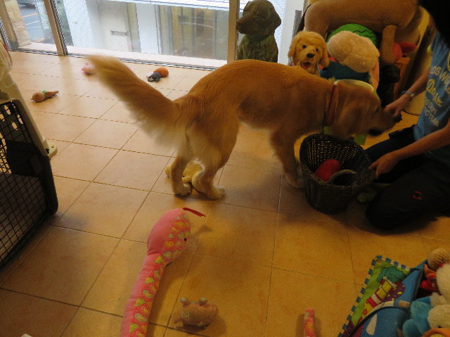 ファイル 7220-3.jpg