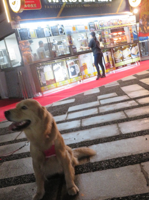 ファイル 7224-2.jpg