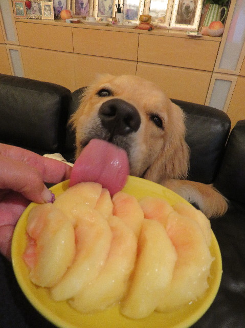 ファイル 7226-1.jpg