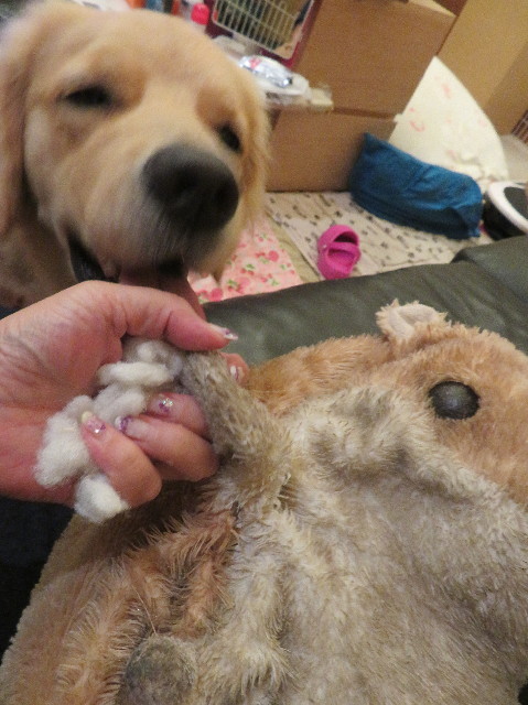 ファイル 7226-4.jpg