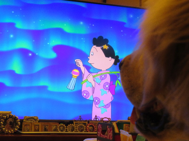 ファイル 7226-5.jpg