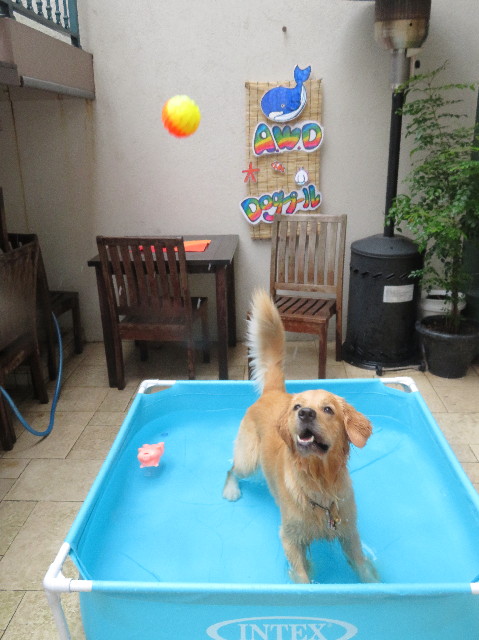 ファイル 7227-2.jpg