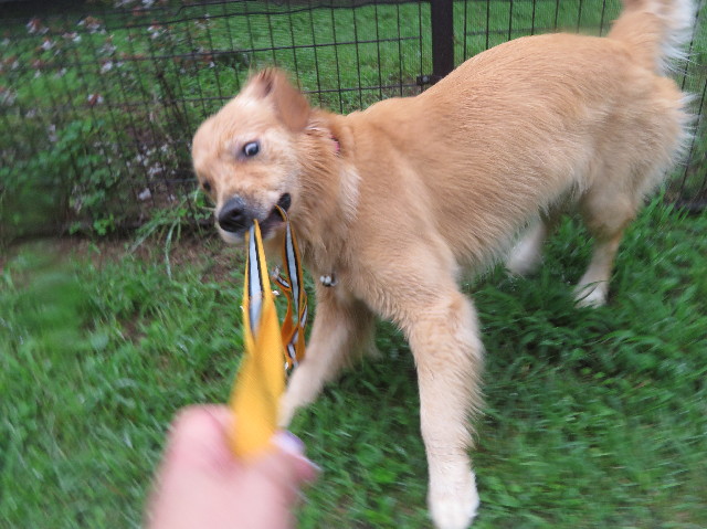 ファイル 7227-4.jpg